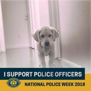 Meet your Posher, Clint